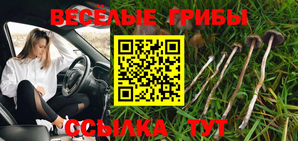 Малоярославец  Галлюциногенные грибы GOLDEN TEACHER  Вход с VPN 